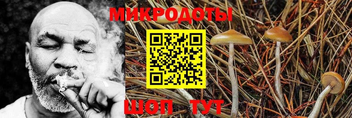 Галлюциногенные грибы Psilocybe  где найти   Ессентуки  Галлюциногенные грибы Cubensis 