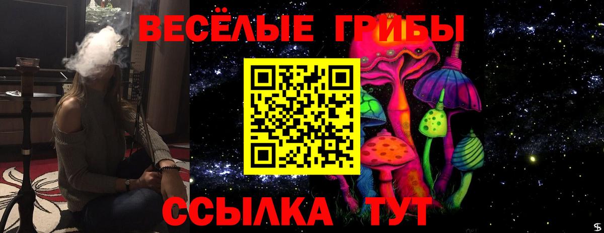 Галлюциногенные грибы мухоморы  Вход с VPN  Галлюциногенные грибы мухоморы  Ессентуки 